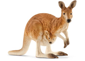 Kangaroo Female with Young