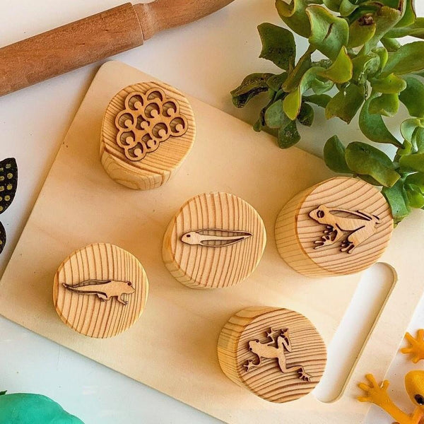 Frog Lifecycle Wooden Playdough Stamps