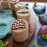 Frog Lifecycle Wooden Playdough Stamps